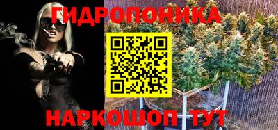 каннабис Малгобек